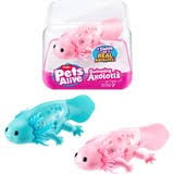 PETS ALIVE AXOLOTL CUBE