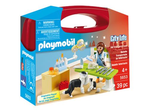 CARRYING CASE SMALL VET