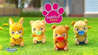 AMICICCI CICCIPETS ASST