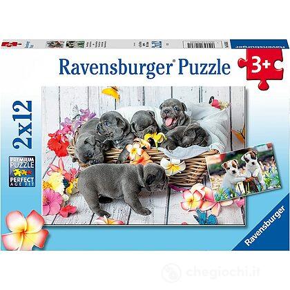 PICCOLE PALLE DI PELO PUZZLE 2X12