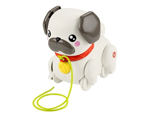 FP CARLINO CAMMINA CON ME