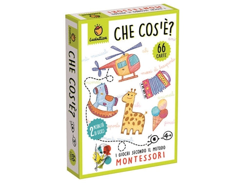 CARTE MONTESSORI CHE COS E