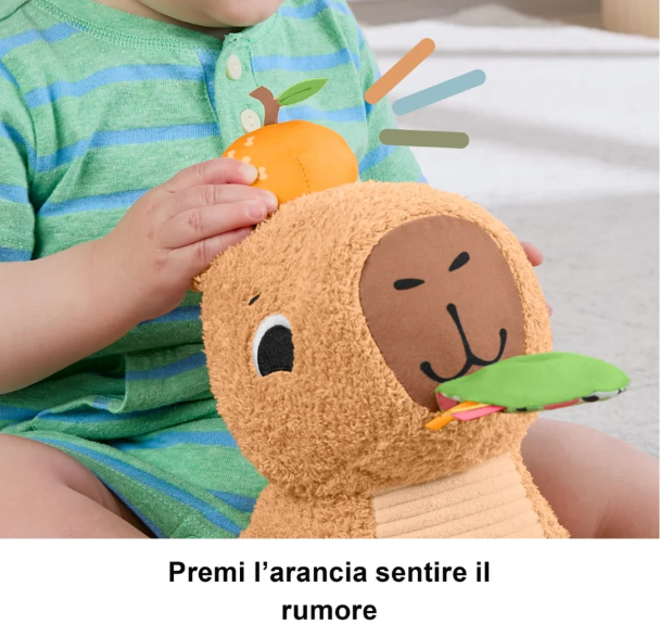 FP MARMOTTA COCCOLE E MERENDA